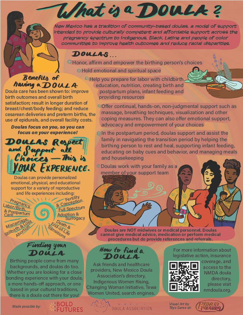 Illustrated guide explaining the role of doulas.