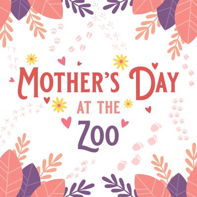 Mother's Day zoo event with floral design.